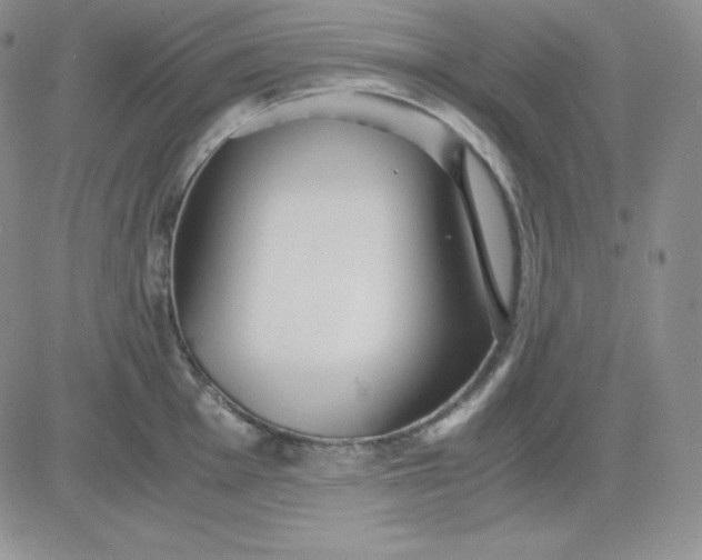 X0000081291001200701251648