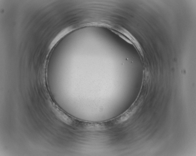 X0000081291002200701251648