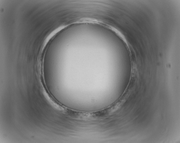 X0000081291003200701251648