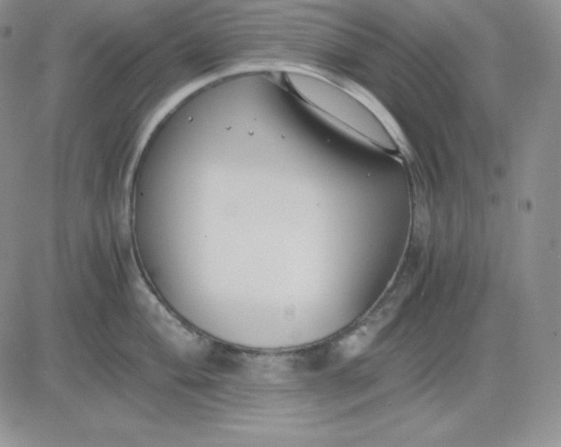 X0000081291004200701251648