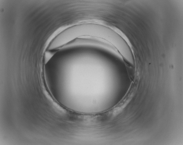 X0000081291005200701251648