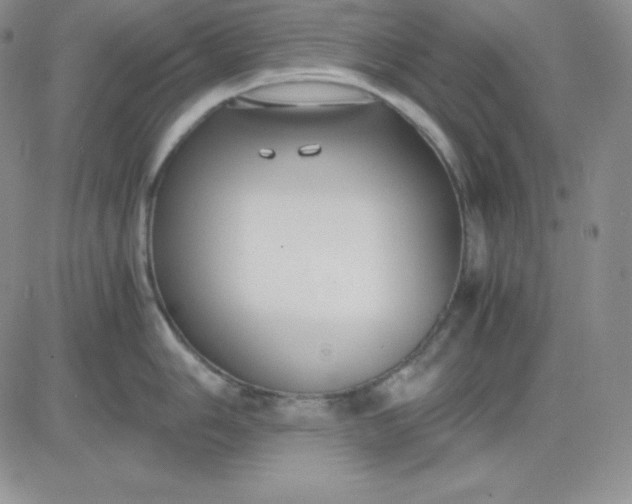 X0000081291006200701251648