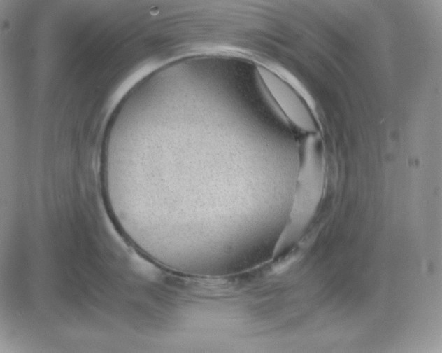 X0000081291007200701251648