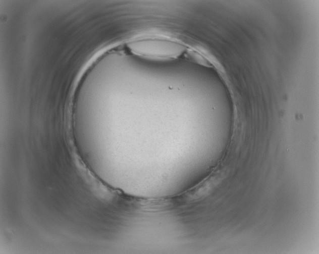 X0000081291008200701251648