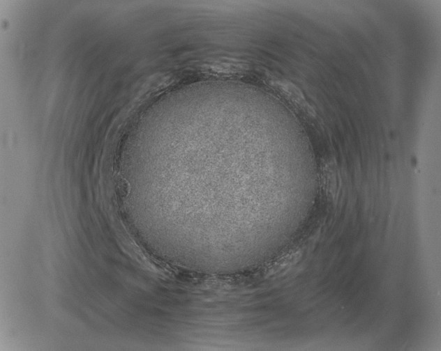 X0000081291009200701251647