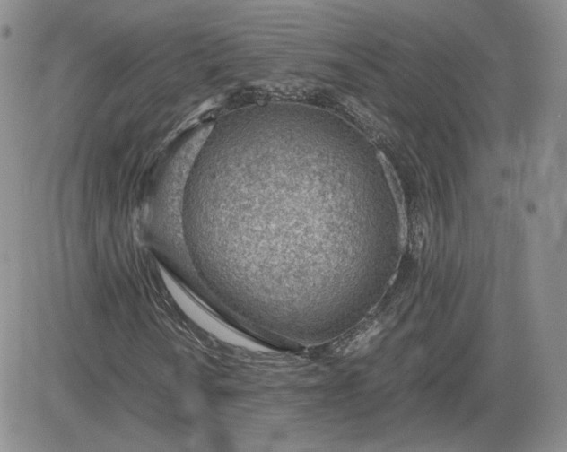 X0000081291010200701251647