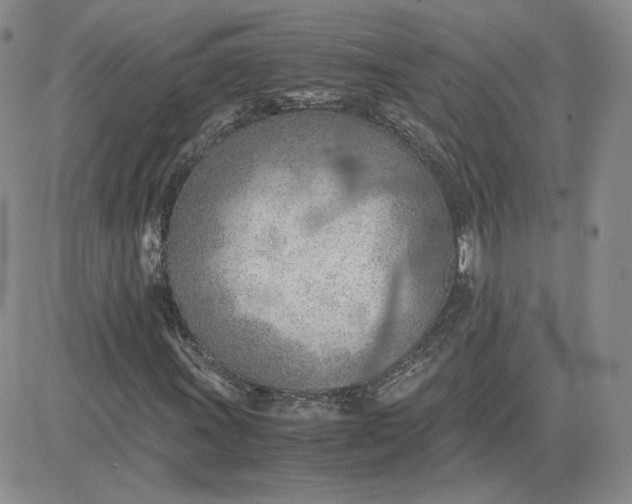 X0000081291011200701251647