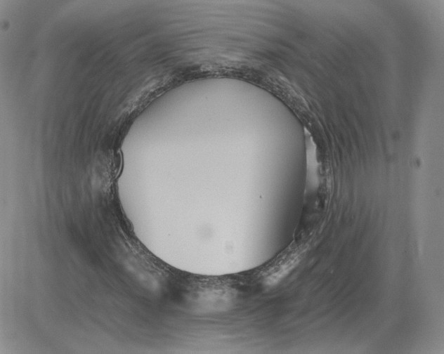 X0000081291012200701251647