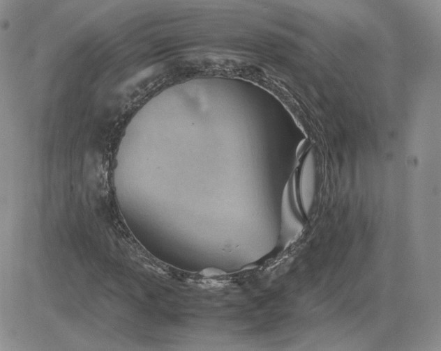 X0000081291013200701251647