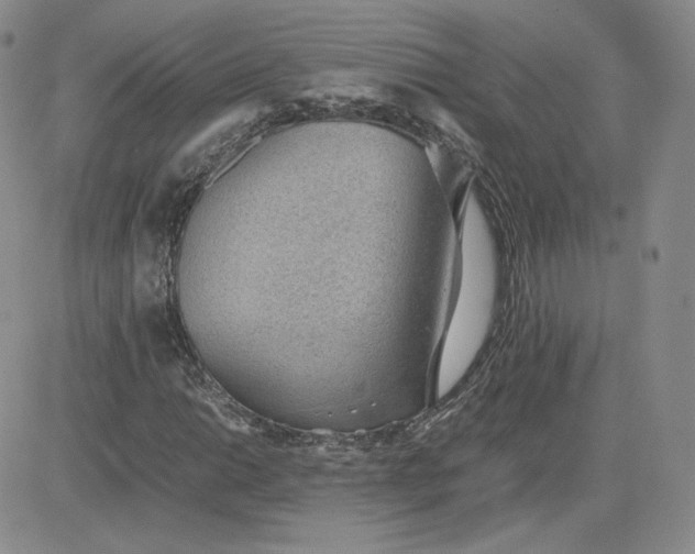 X0000081291014200701251647