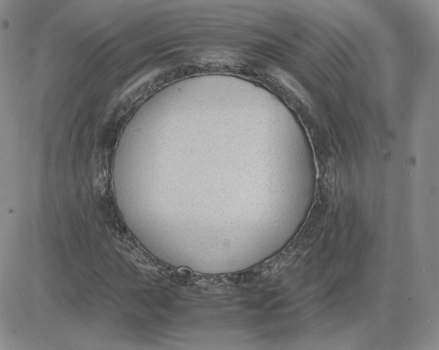 X0000081291015200701251647