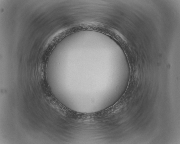 X0000081291016200701251647