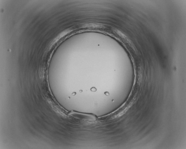 X0000081291017200701251647