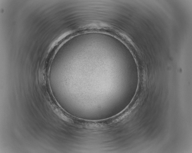 X0000081291018200701251647