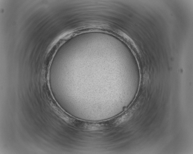 X0000081291019200701251647