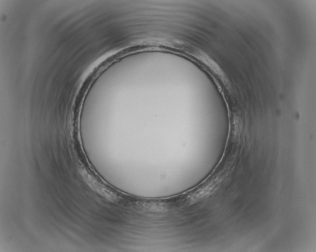 X0000081291020200701251647