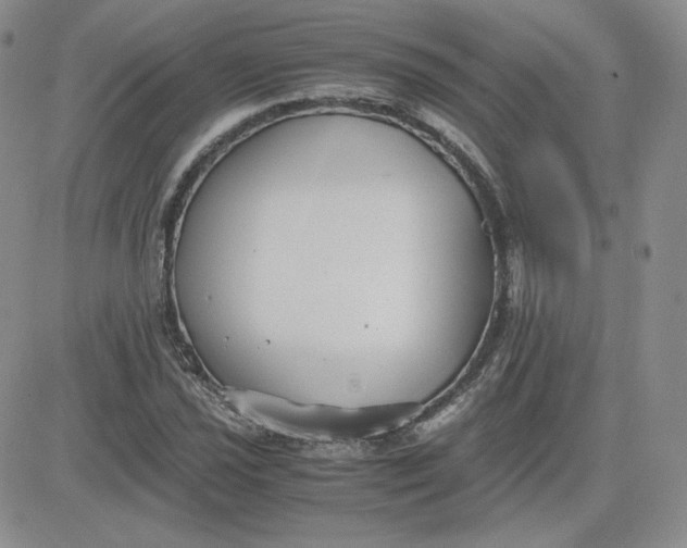 X0000081291021200701251647