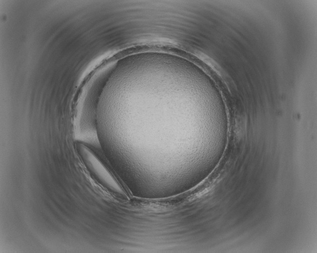 X0000081291022200701251647