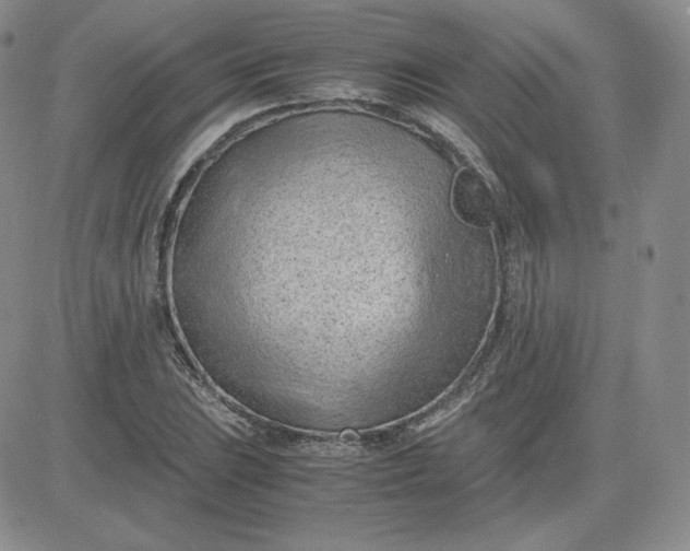 X0000081291023200701251647