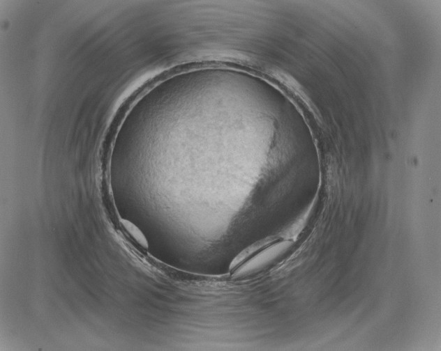 X0000081291024200701251647