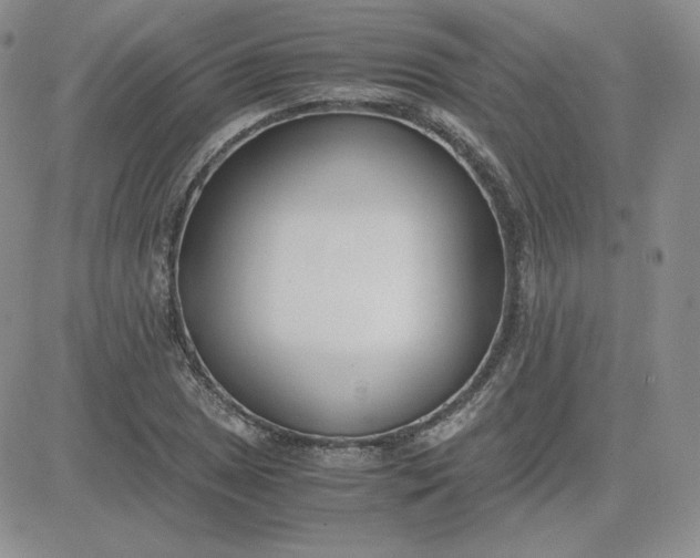 X0000081291025200701251647