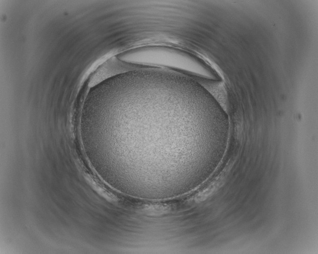 X0000081291026200701251647