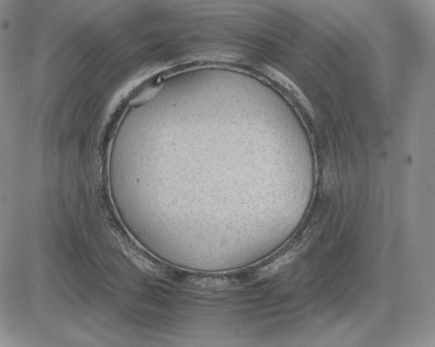 X0000081291027200701251648