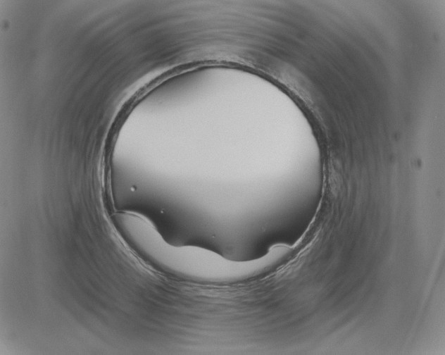 X0000081291028200701251648