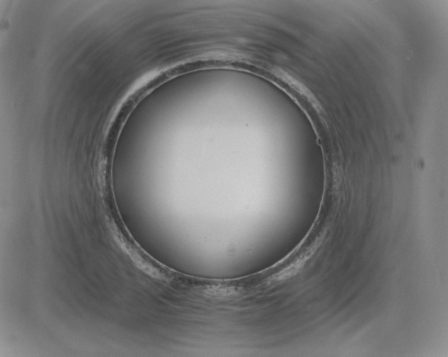 X0000081291029200701251648