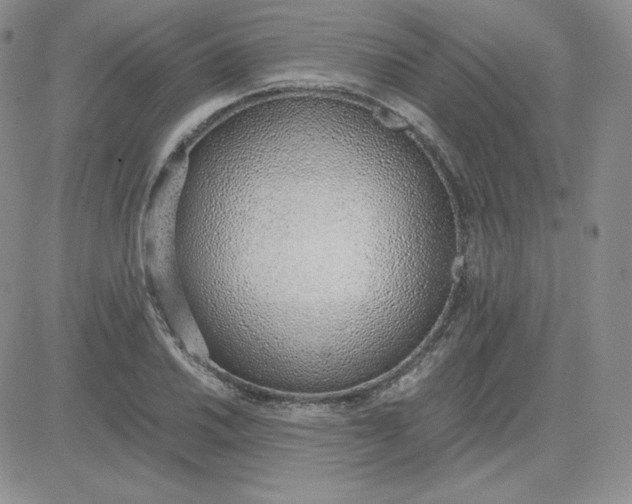 X0000081291030200701251648