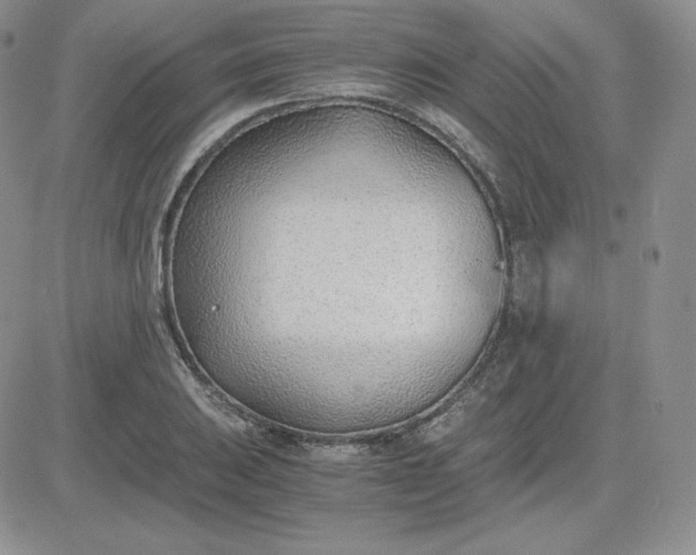 X0000081291031200701251648