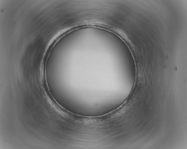 X0000081291032200701251648