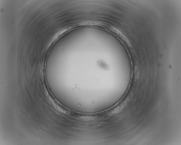 X0000081291033200701251648