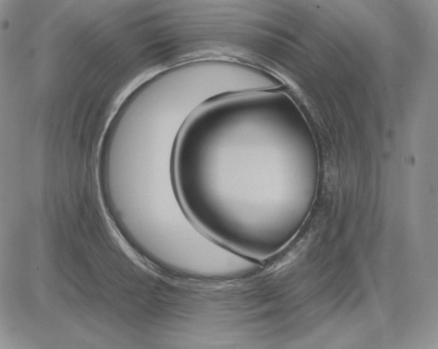 X0000081291034200701251648