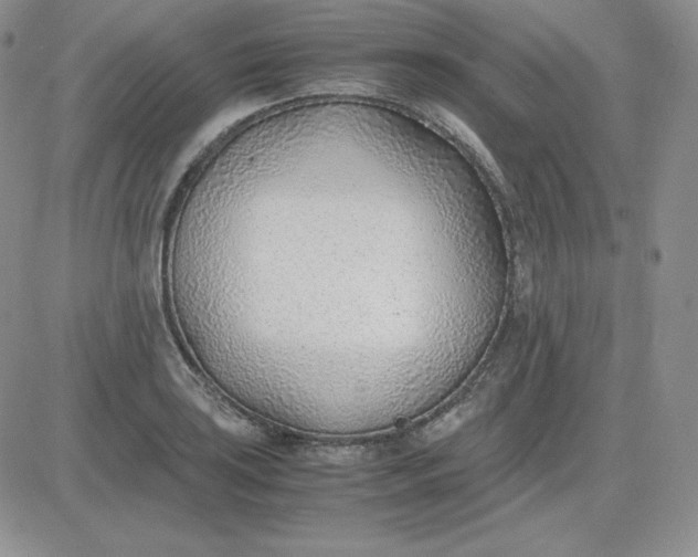 X0000081291035200701251648