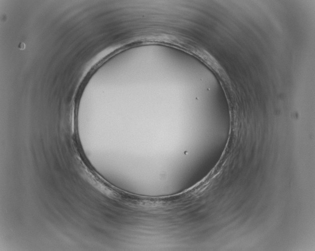 X0000081291036200701251648