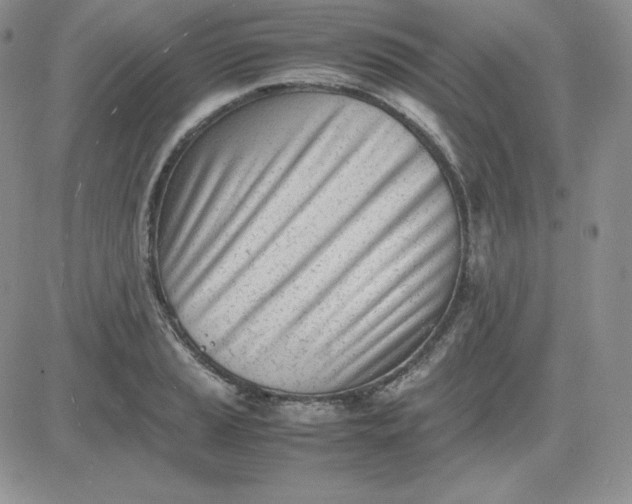 X0000081291037200701251648