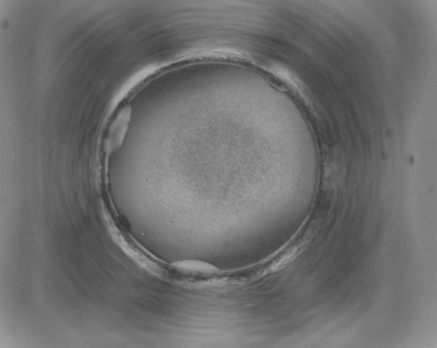 X0000081291038200701251648