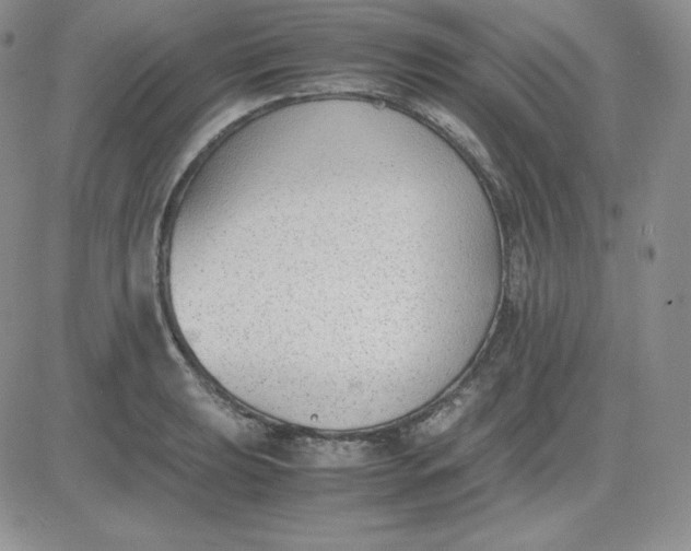 X0000081291039200701251648