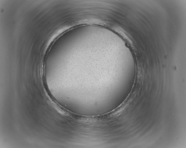 X0000081291040200701251648