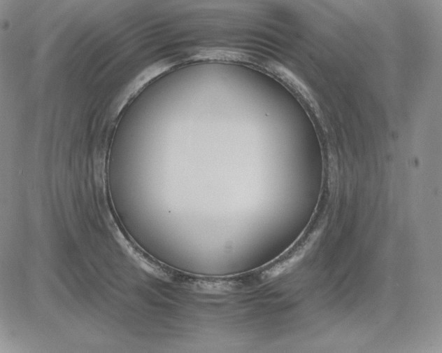 X0000081291041200701251648