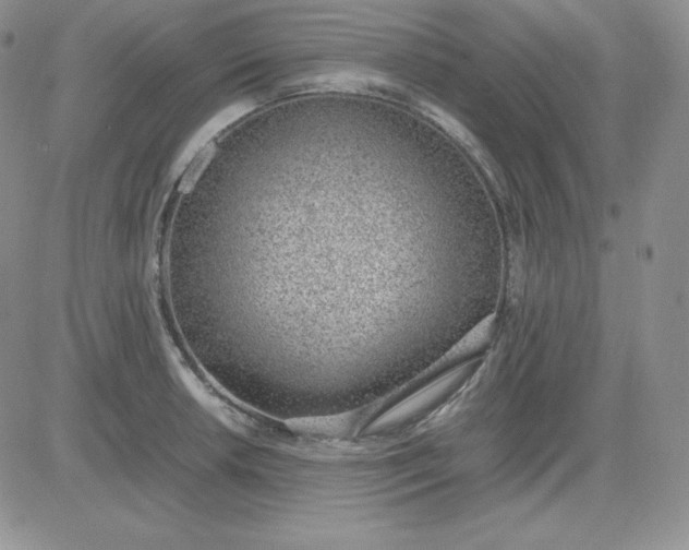 X0000081291042200701251648