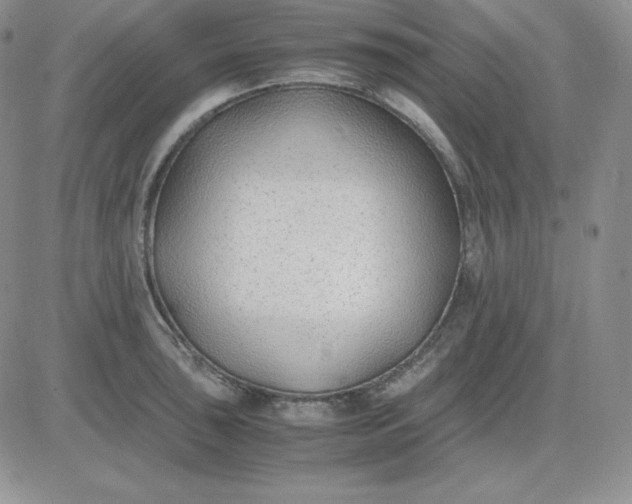 X0000081291043200701251648