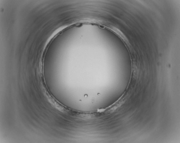 X0000081291044200701251648