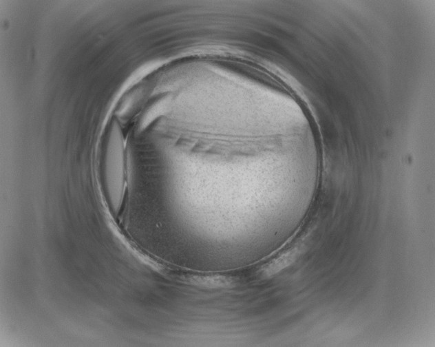 X0000081291045200701251648