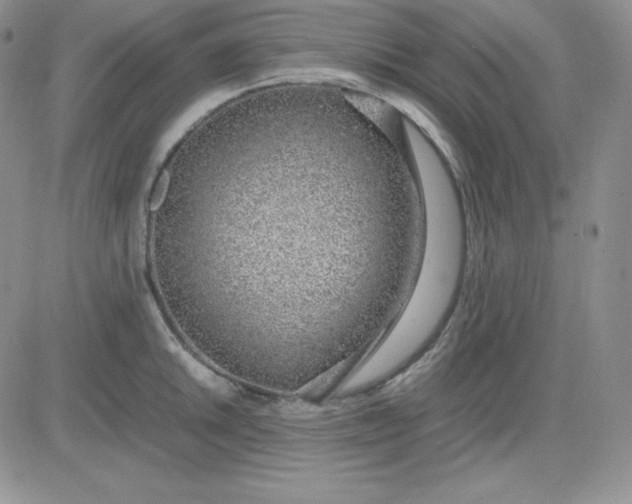 X0000081291046200701251648