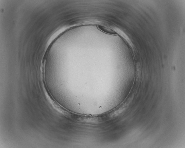 X0000081291047200701251648