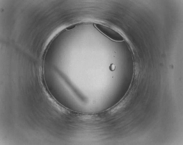 X0000081291048200701251648