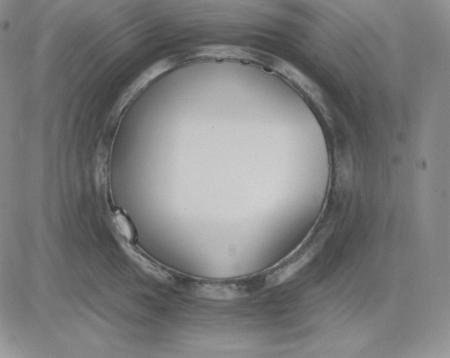 X0000081291049200701251648