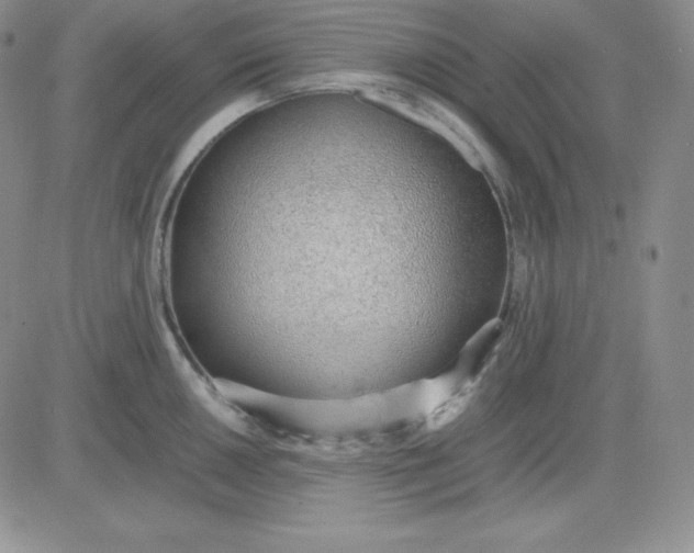 X0000081291050200701251648